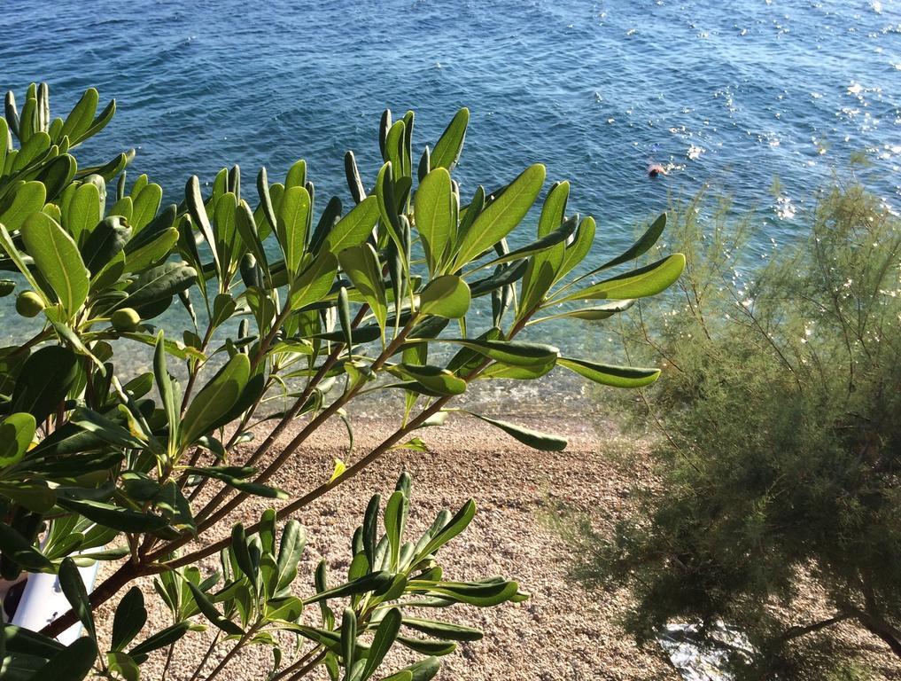 Holiday Home Mala Duba Živogošće Δωμάτιο φωτογραφία